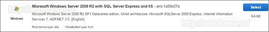 Выбор системы Windows Server 2008.