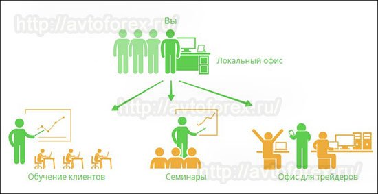 Принцип работы партнёрки "Региональный представитель" от ДЦ LiteForex.